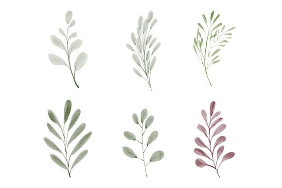 Download Watercolor Leaf Greenery Element Set - Watercolor leaf Collection