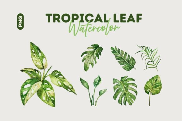 Download Tropical Watercolor Leaf Collection - Watercolor leaf Collection