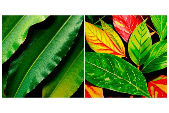 Download 2 Watercolor Leaf Pattern - Premium Resources