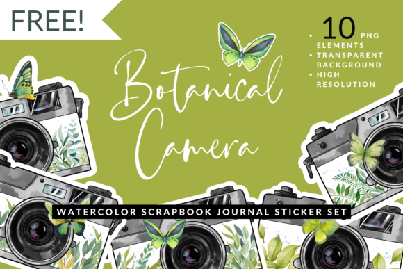 Download Watercolor Leaf Butterfly Camera Sticker - Watercolor leaf Collection